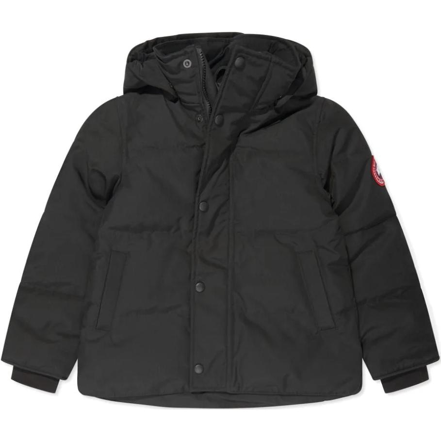 Canada Goose
