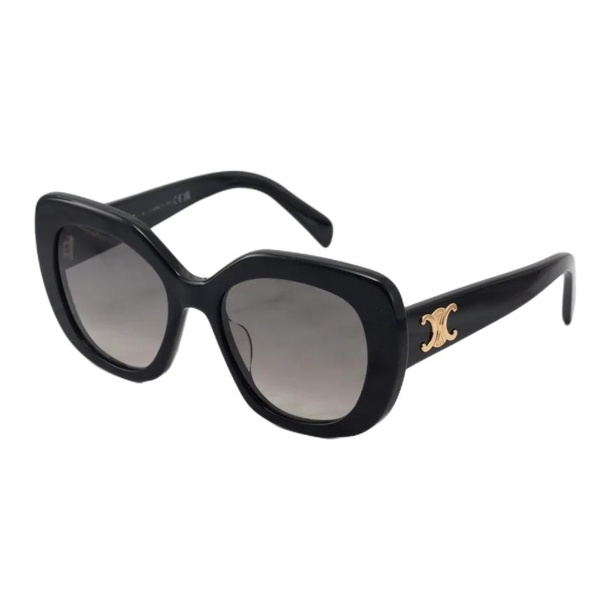 CELINE Triomphe 06