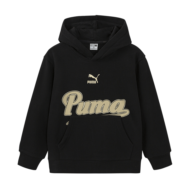 Puma Sportstylehoodie WISETHERMA LOGO FL B