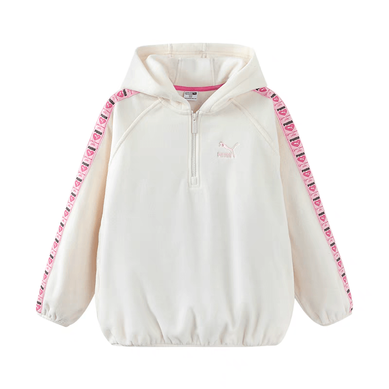 Puma Sportstylehoodie POLAR FLEECE 10501