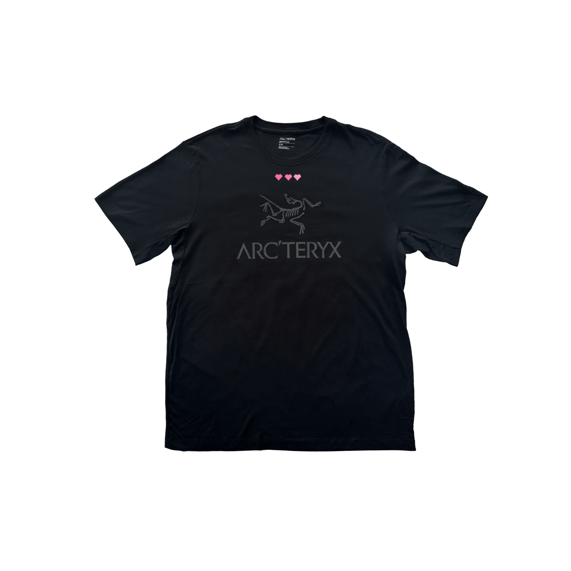 Футболка Arcteryx ARCWORDlogoT black