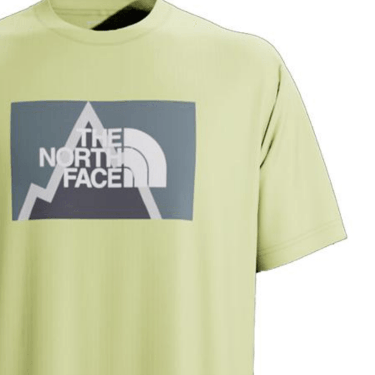 The North Face Logo T-Shirt Green — фото 1