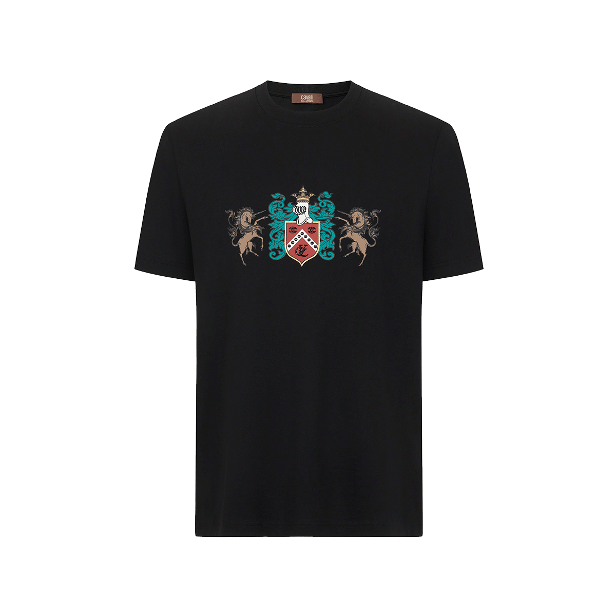 Cavalli Class T