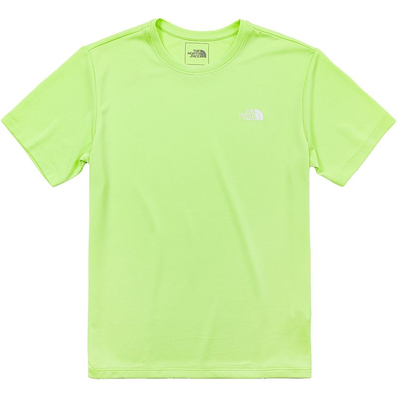 Футболка The North Face SS22 LogoT