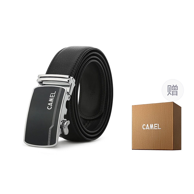 CAMEL骆驼 CAMEL