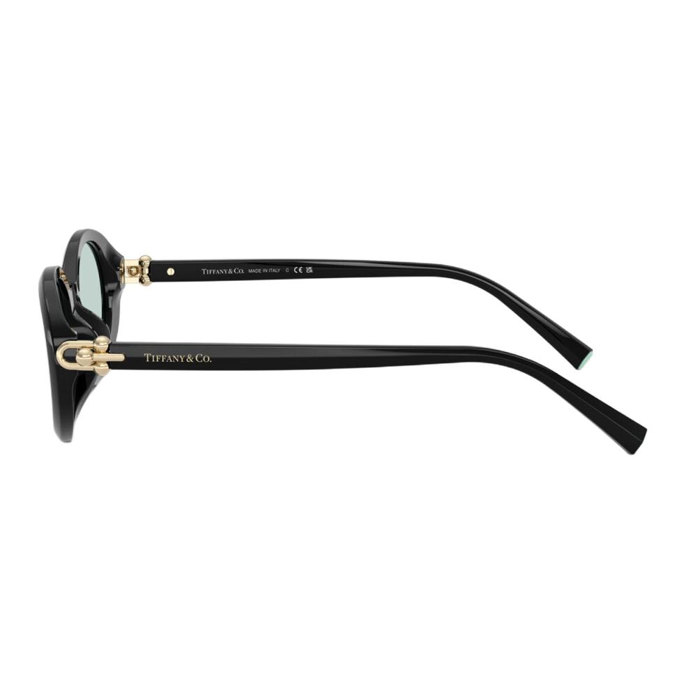 Tiffany & Co. Oval Acetate Sunglasses Black — фото 5