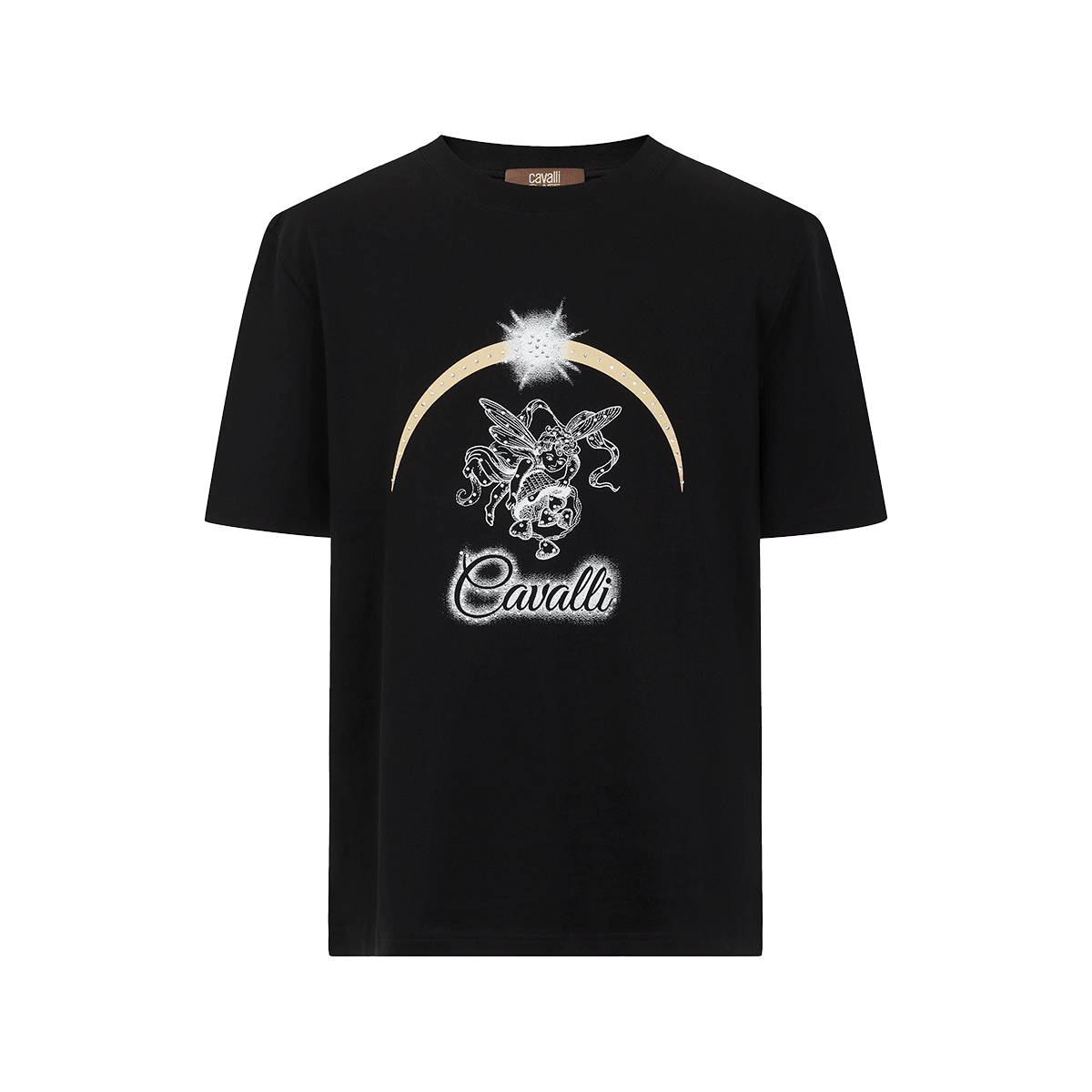 Cavalli Class T