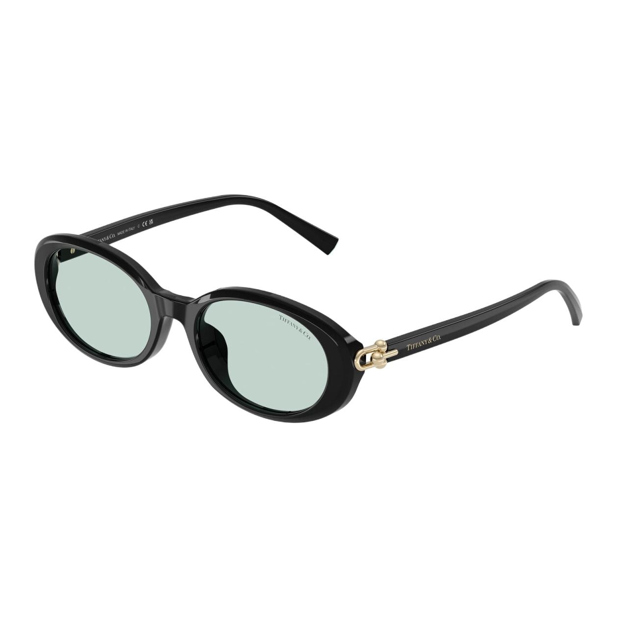 Tiffany & Co. Oval Acetate Sunglasses Black — фото 2