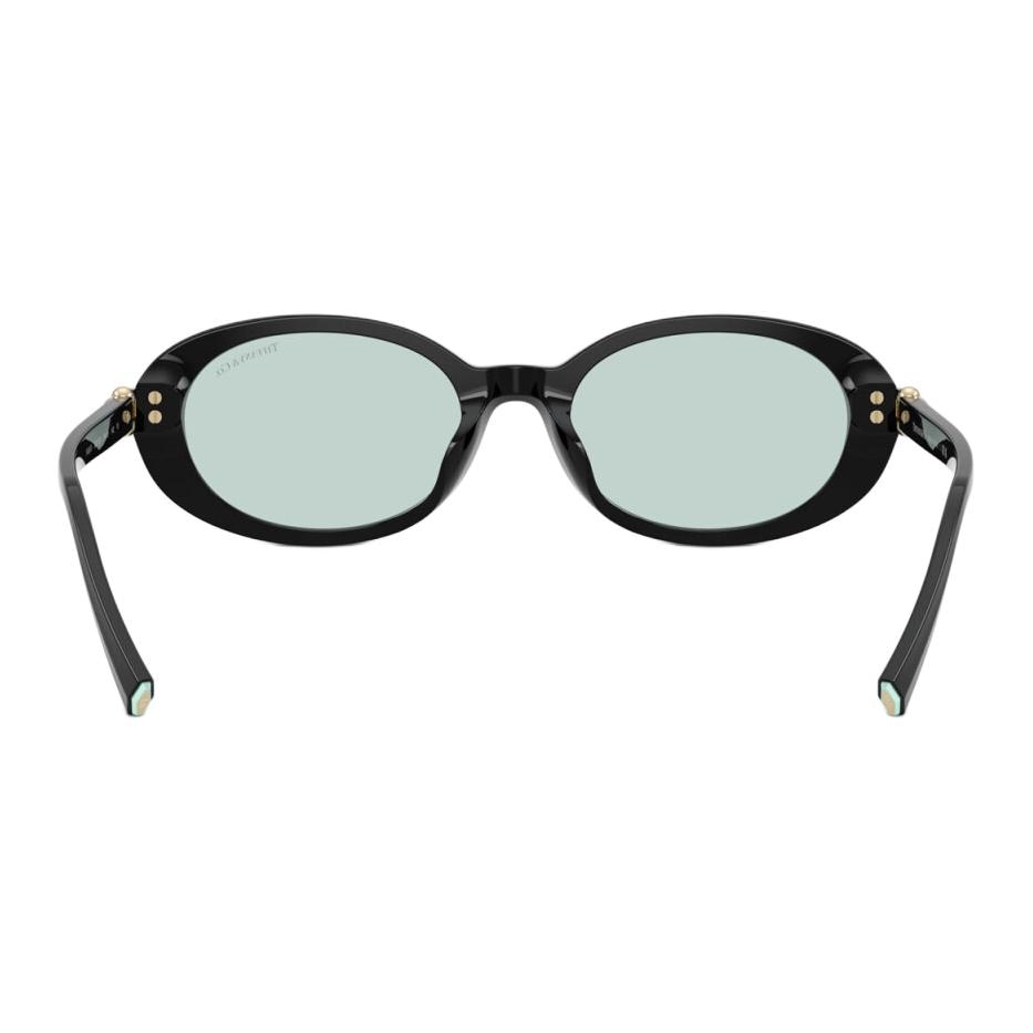 Tiffany & Co. Oval Acetate Sunglasses Black — фото 1