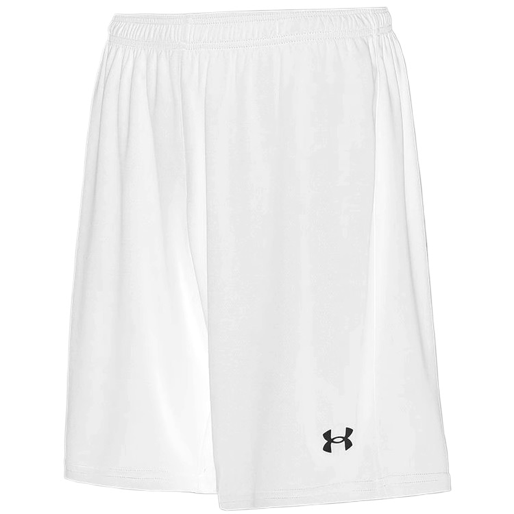 Брюки Under Armour
