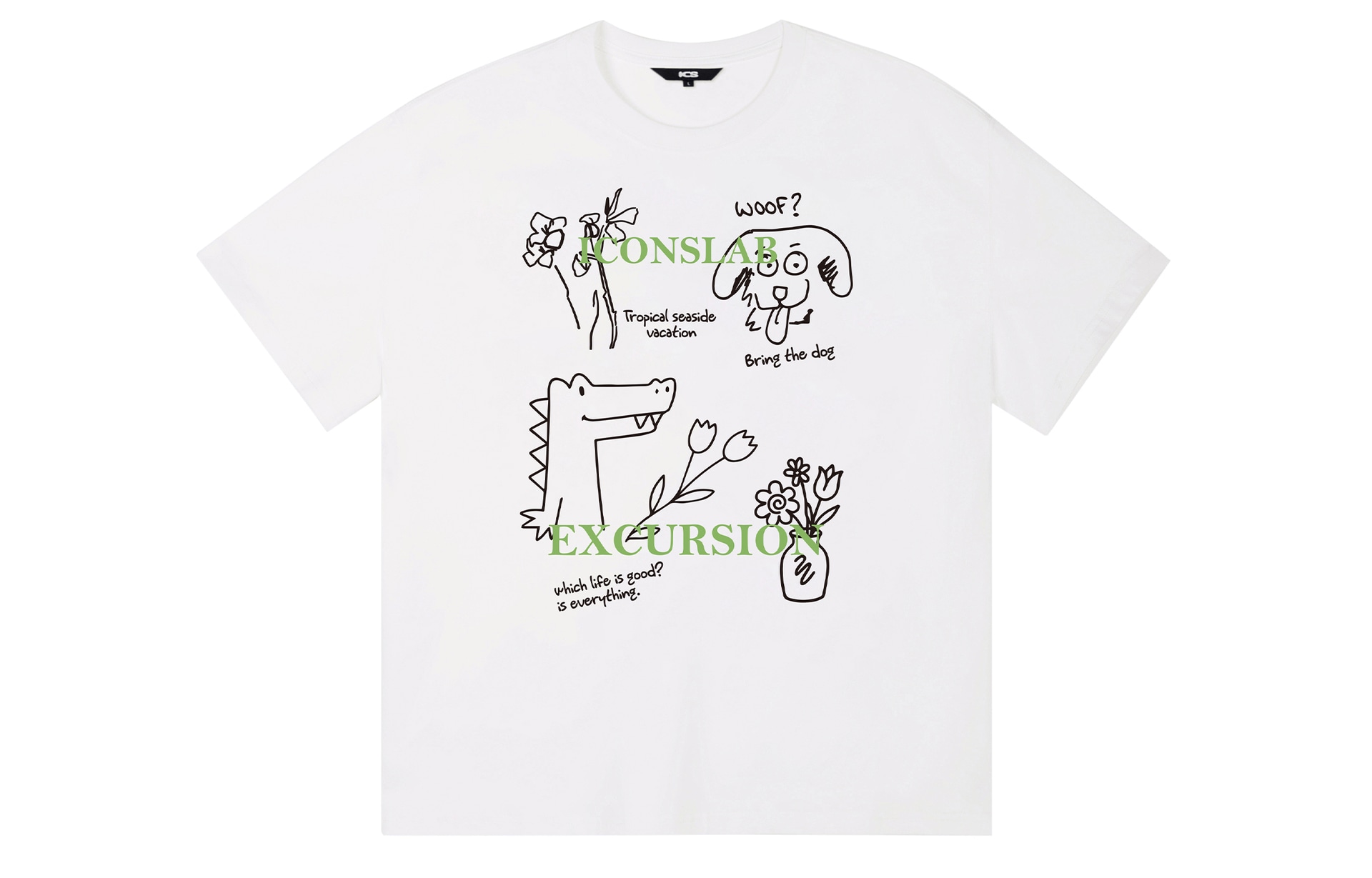 ICONS Lab ICS T