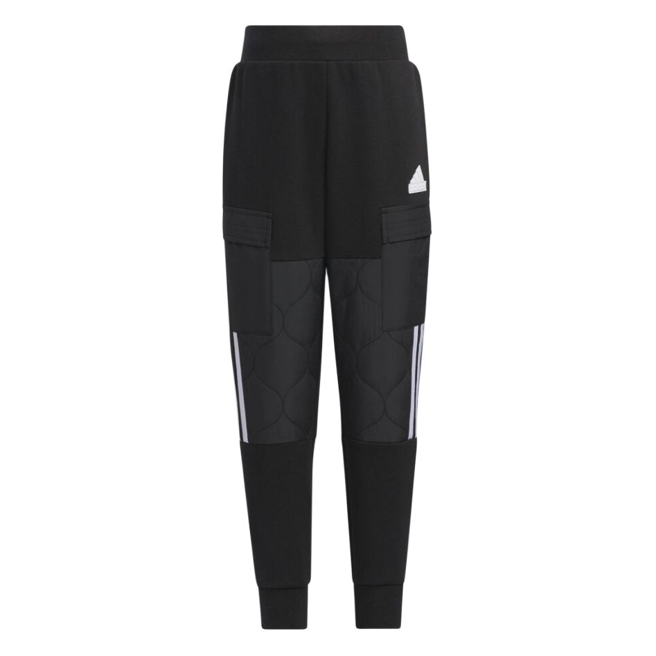 Adidas Urban Outdoor Pants