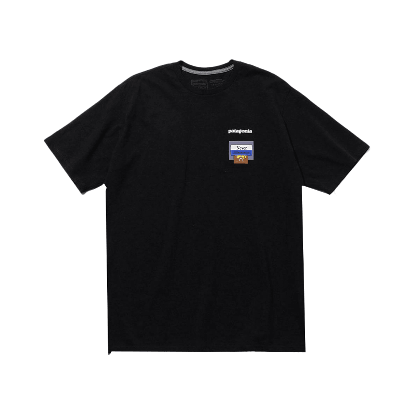 Футболка Patagonia T