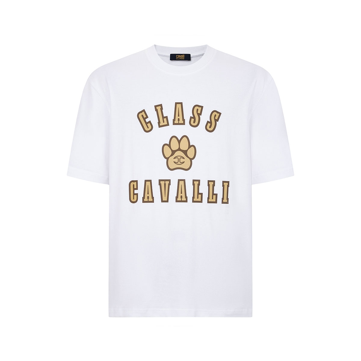 Cavalli Class T