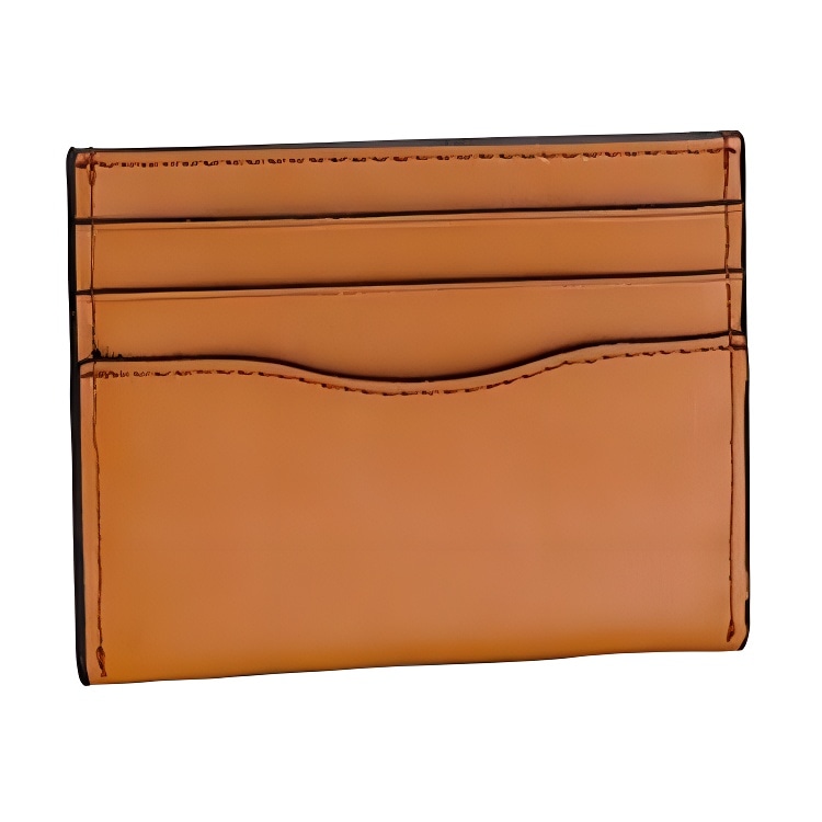 Coach IES Card Case — фото 1