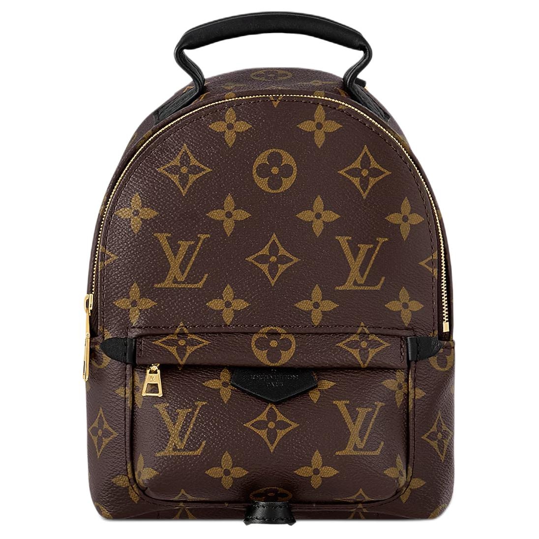 Рюкзак Louis Vuitton Palm Springs Mini