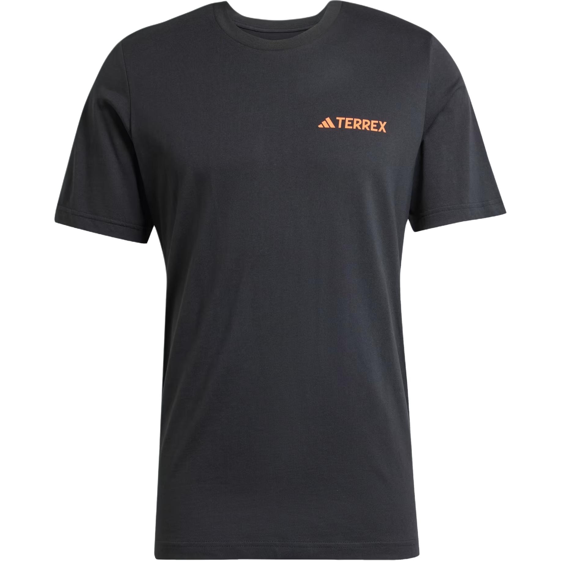 Футболка Adidas Terrex Graphic T