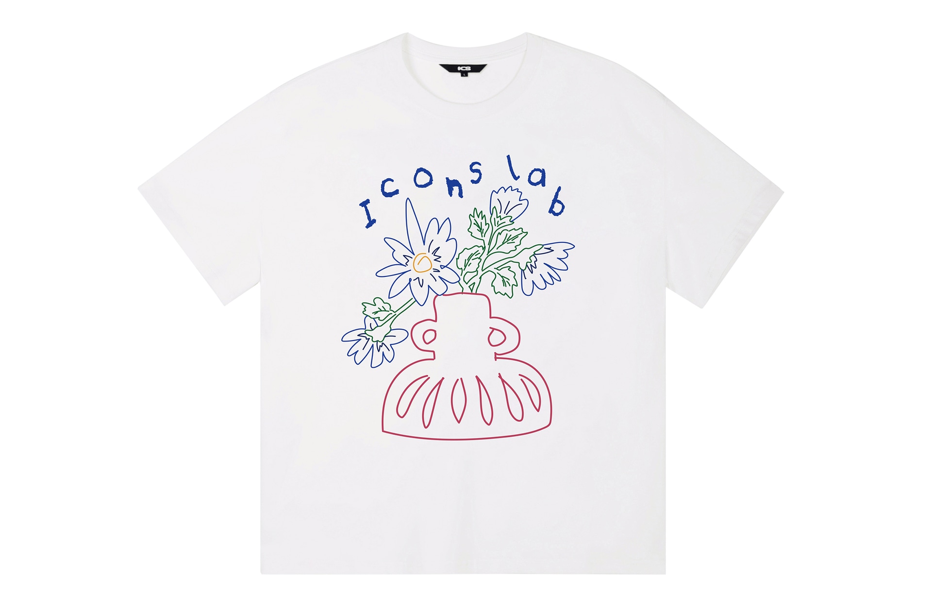 ICONS Lab ICS T