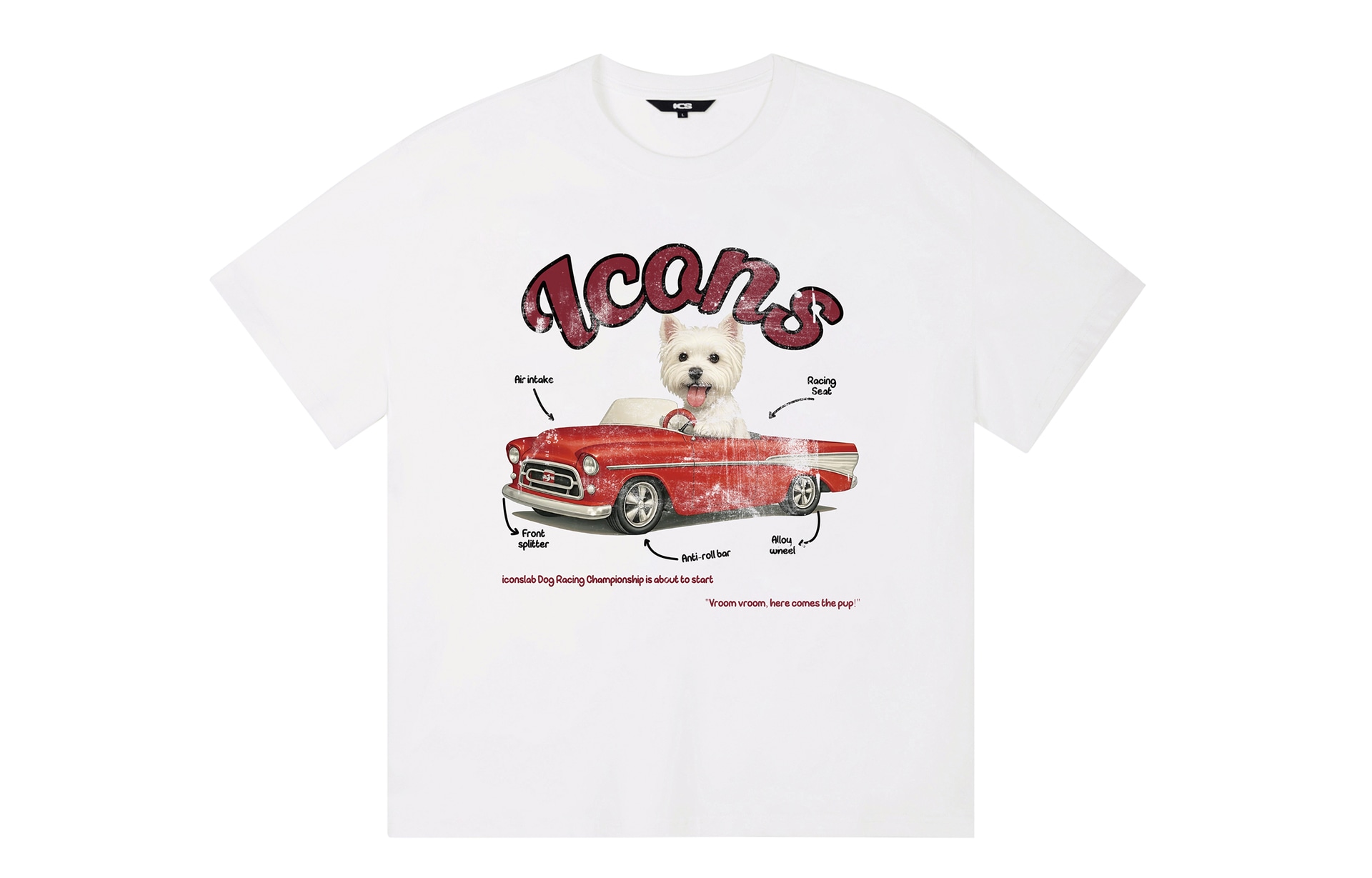 ICONS Lab ICS T