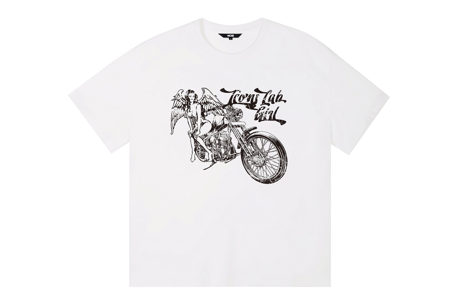 ICONS Lab ICS T
