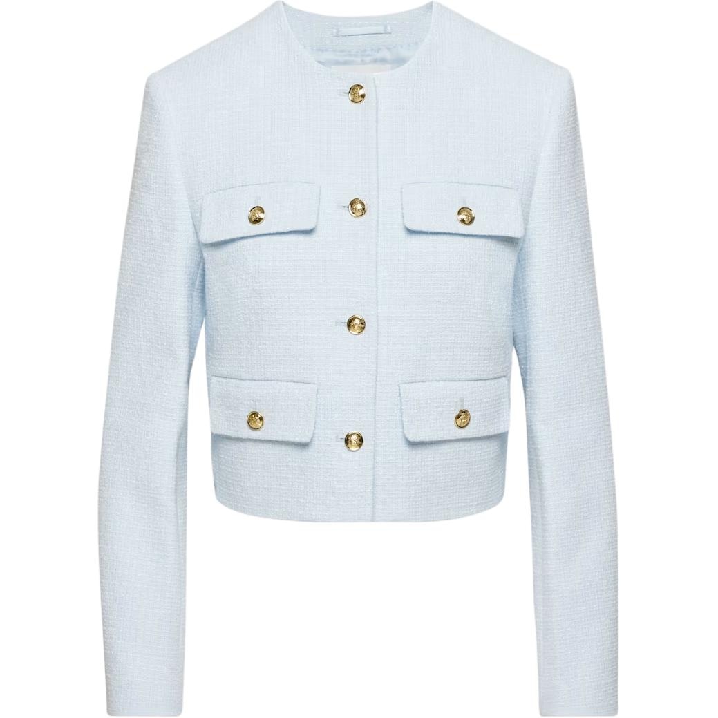 ARITZIA Babaton Anchor Jacket