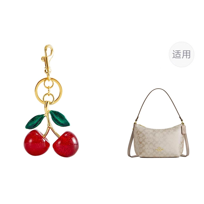 奢护匠心坊 coach