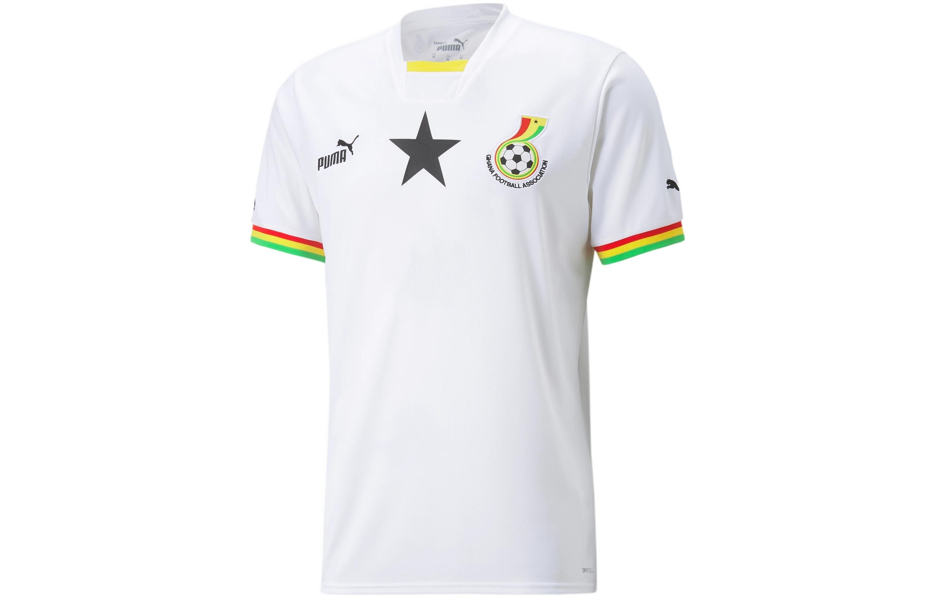 Puma 2022 LogoV