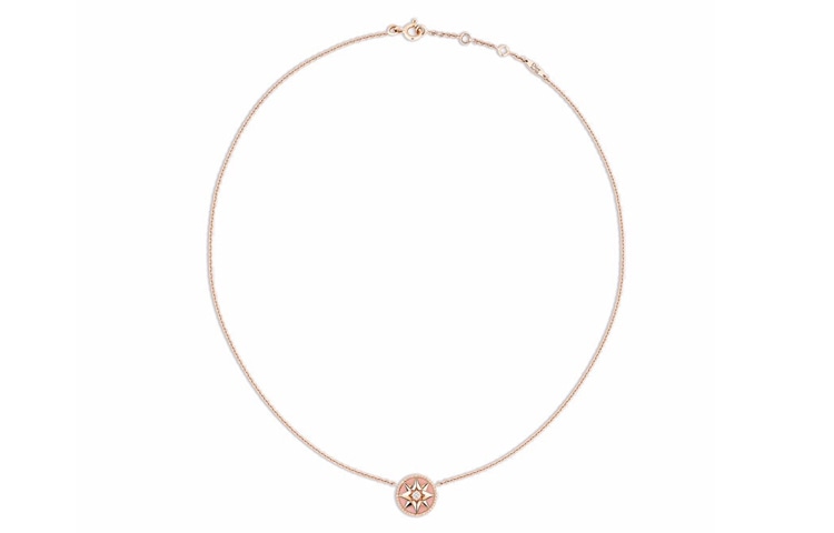 Dior Rose des Vents