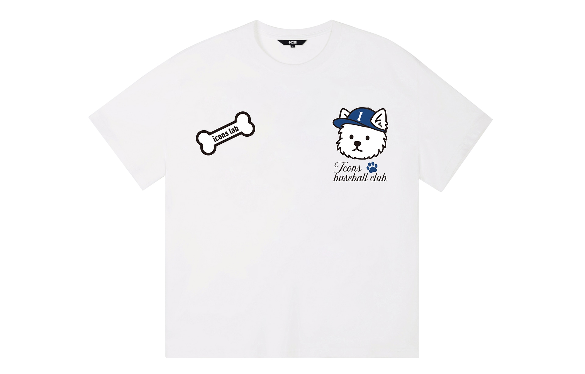 ICONS Lab ICS T