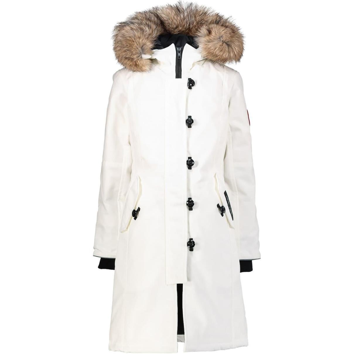 Canada Goose