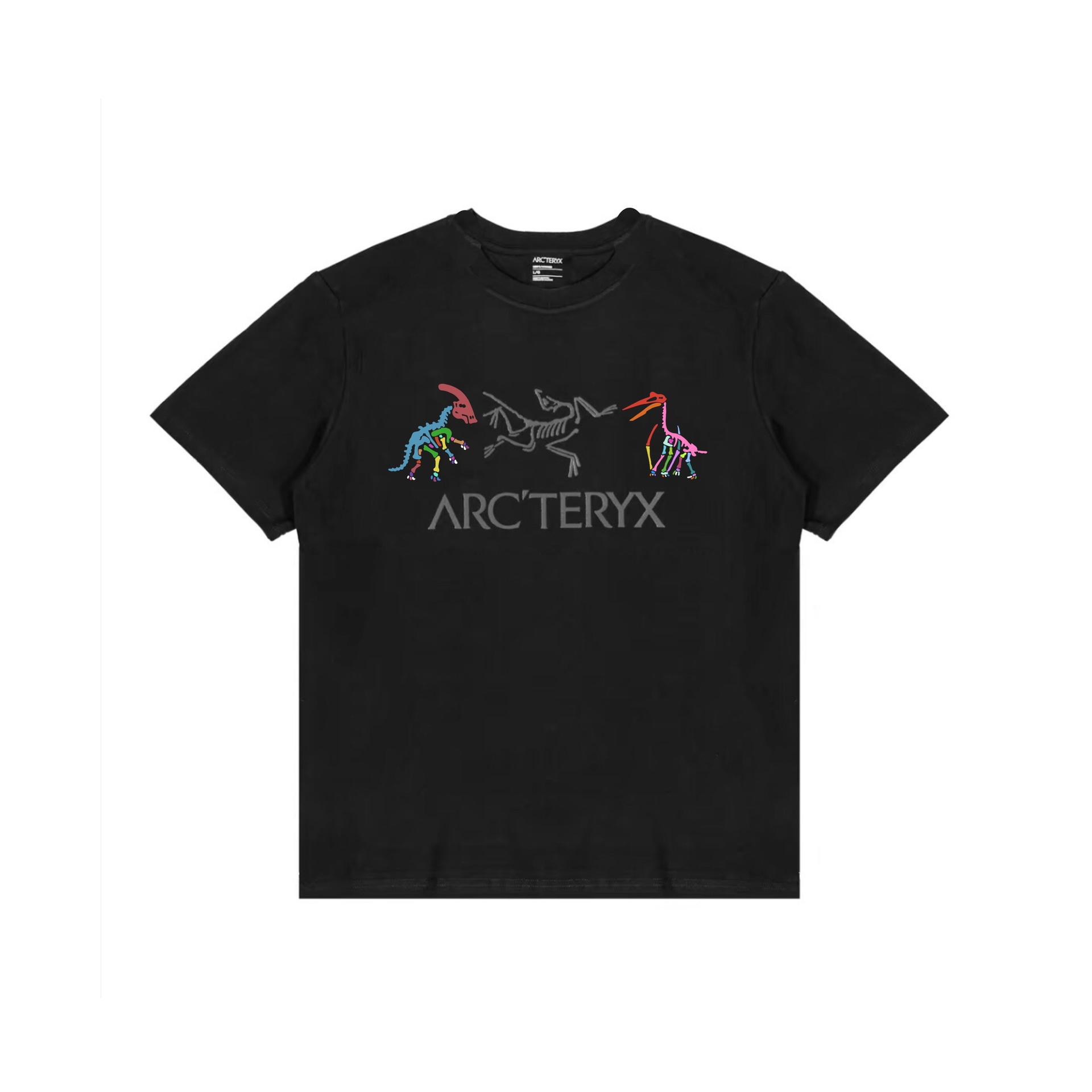 Футболка Arcteryx T