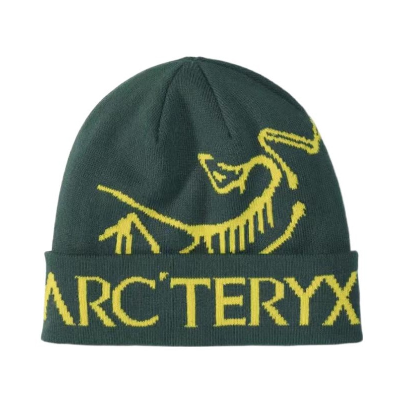 Arcteryx Logo Beanie Green