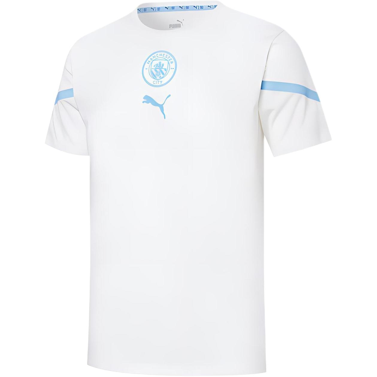 Puma T