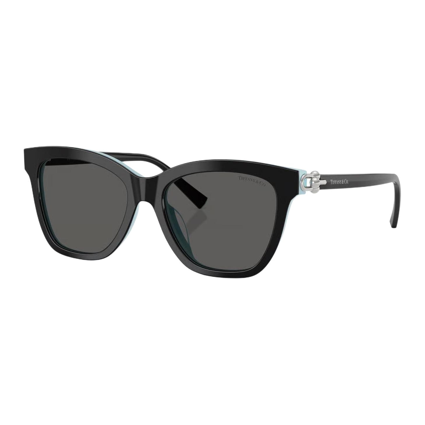 Очки Tiffany & Co. Irregular Acetate Sunglasses Black