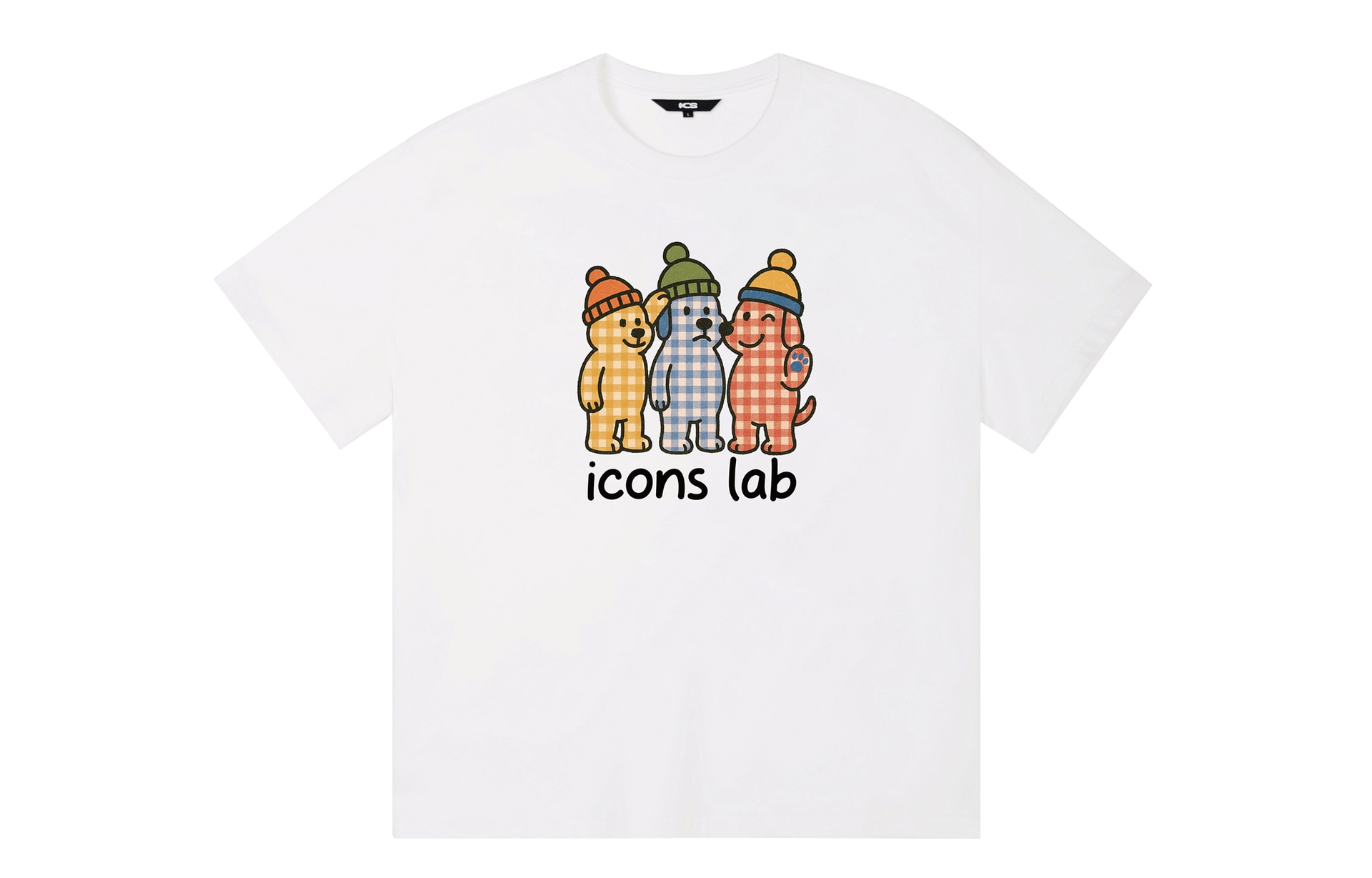 ICONS Lab ICS T
