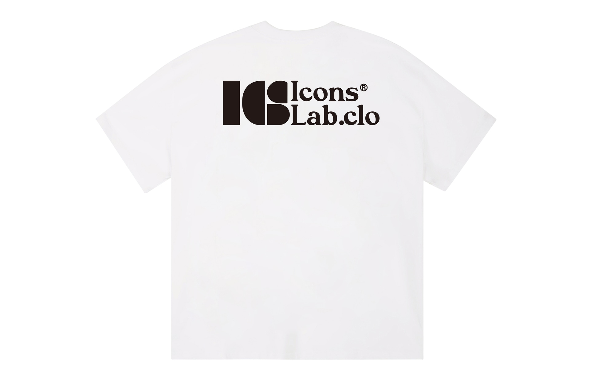 ICONS Lab ICS LogoT