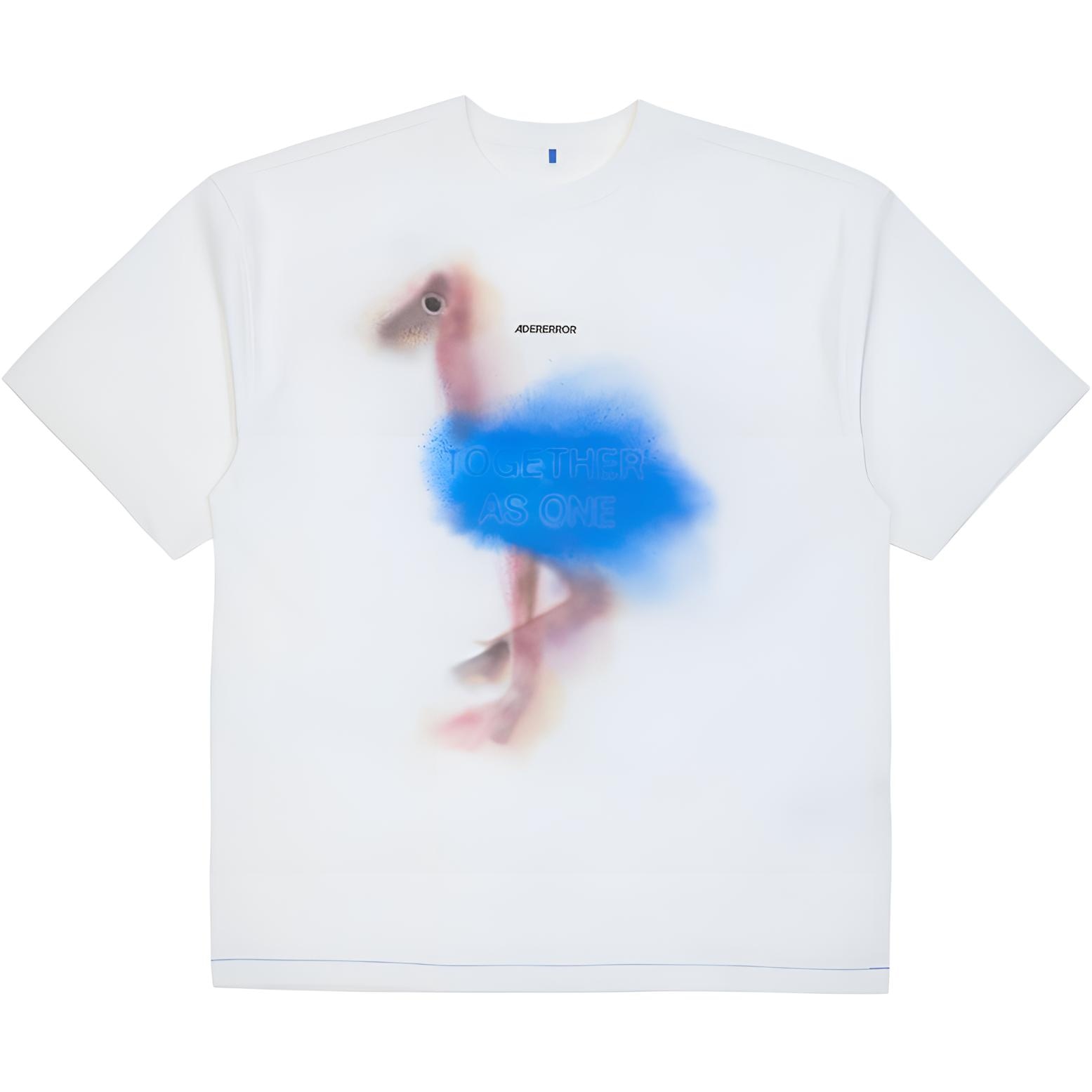 ADER ERROR T