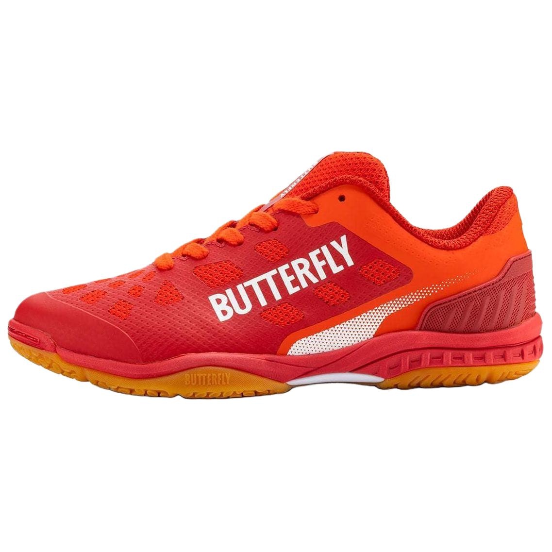 Butterfly LEZOLINE LEVALIS