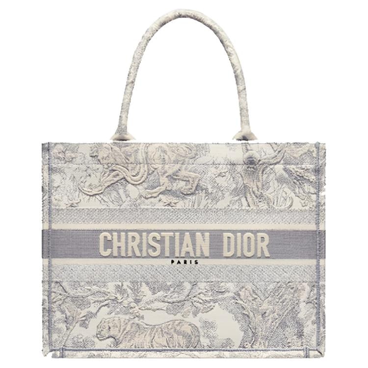Dior Book Tote