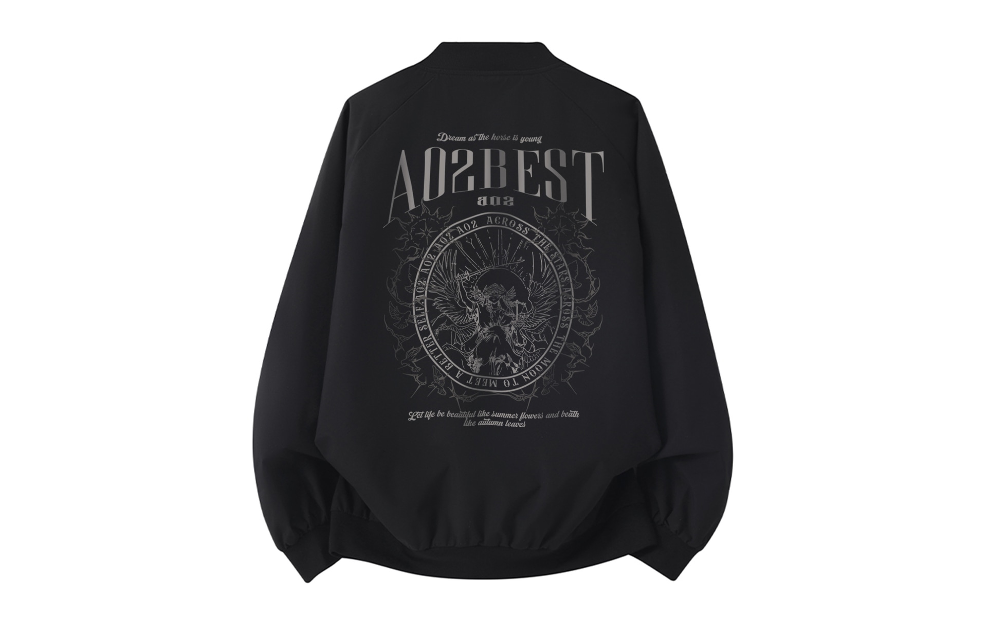 a02 LOGOins