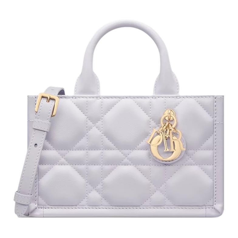 DIOR BookTote