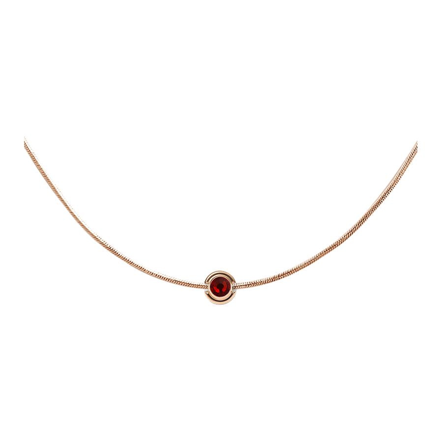 Daniel Wellington/丹尼尔惠灵顿 Daniel Wellington Birthstone Crystal Necklace