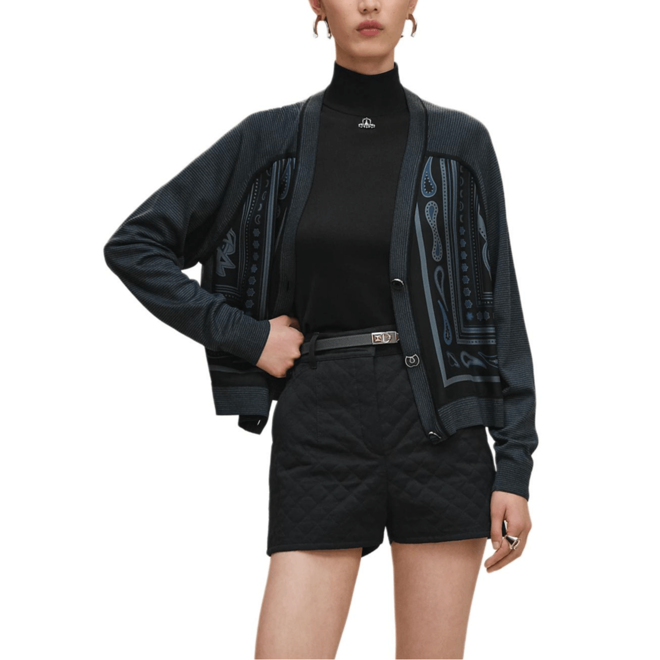 Hermes FW25