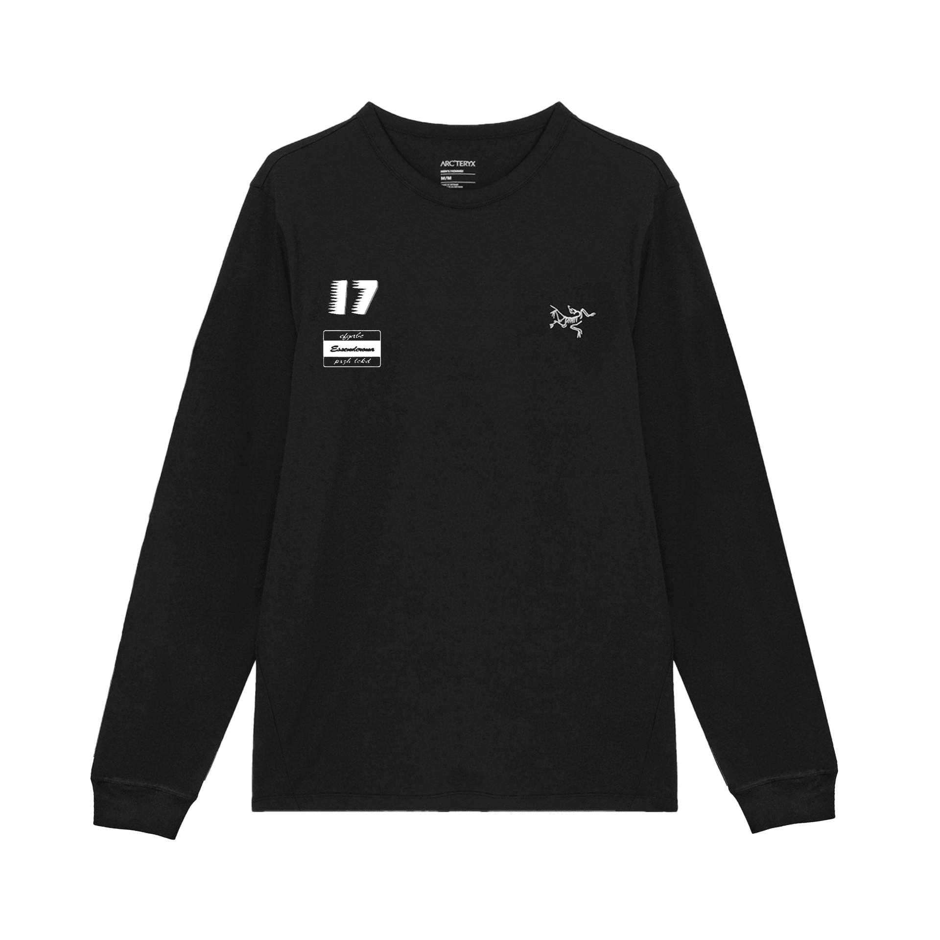 Футболка Arcteryx LogoT