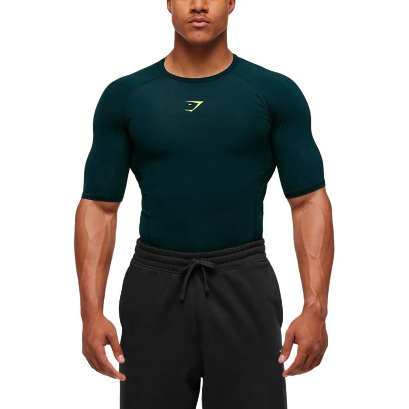 Футболка Gymshark ELEMENT T