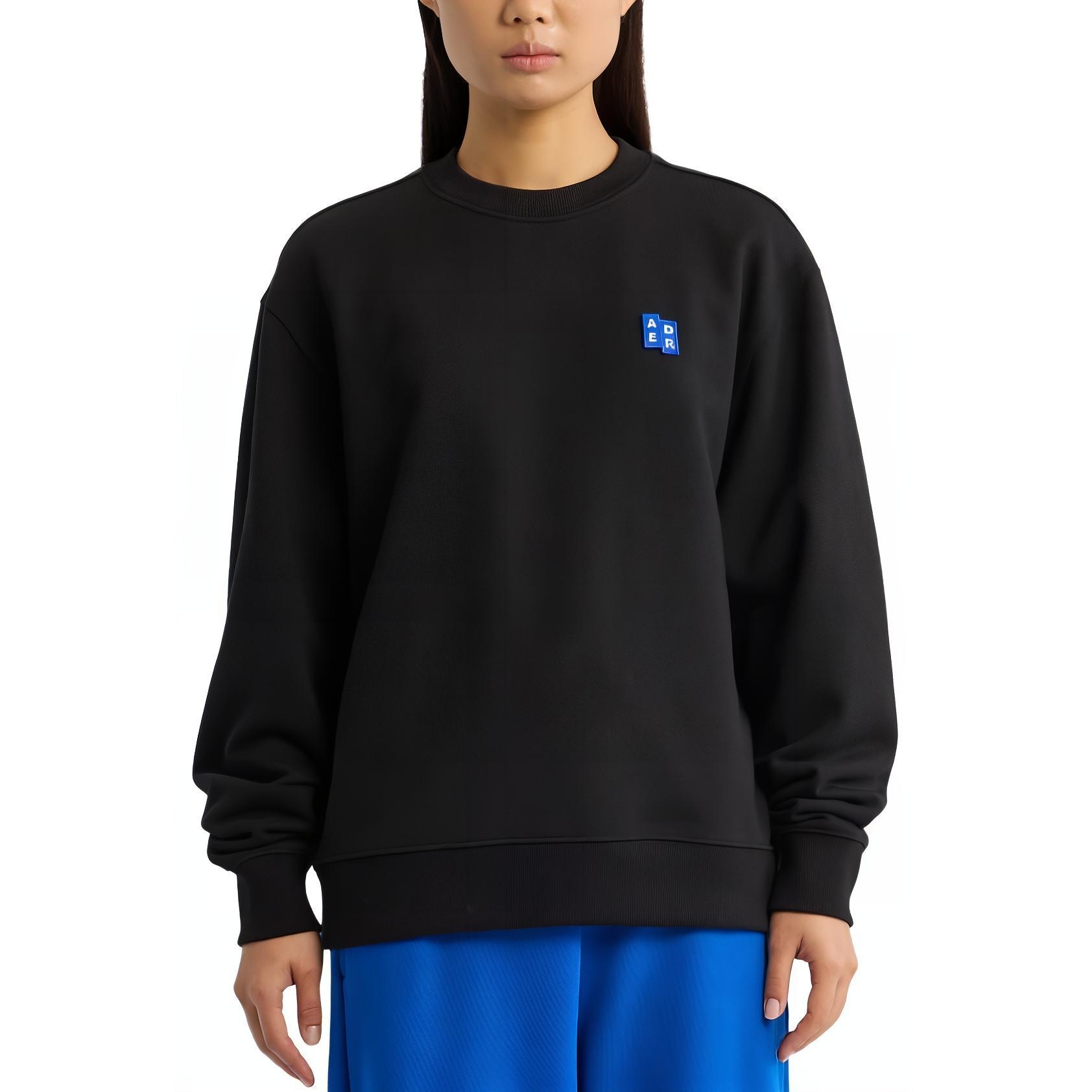 ADER ERROR Logo