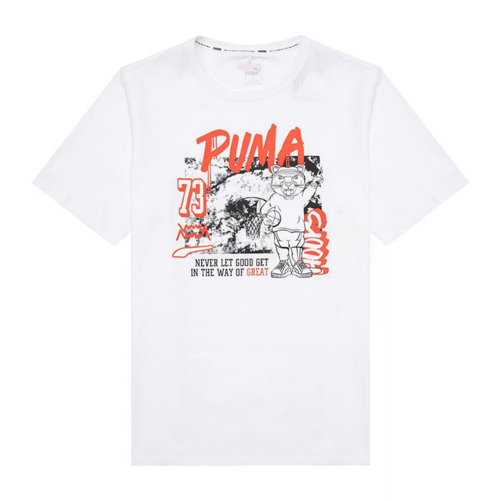 Футболка Puma Dylan T