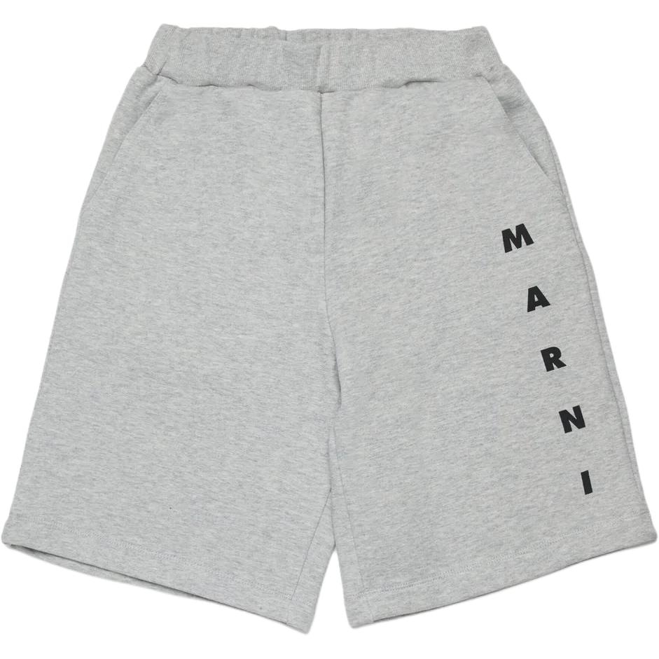 MARNI