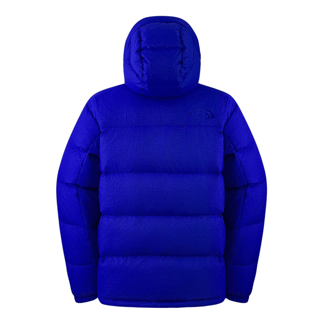 The North Face ICON FW25 HMLYN 550 — фото 1