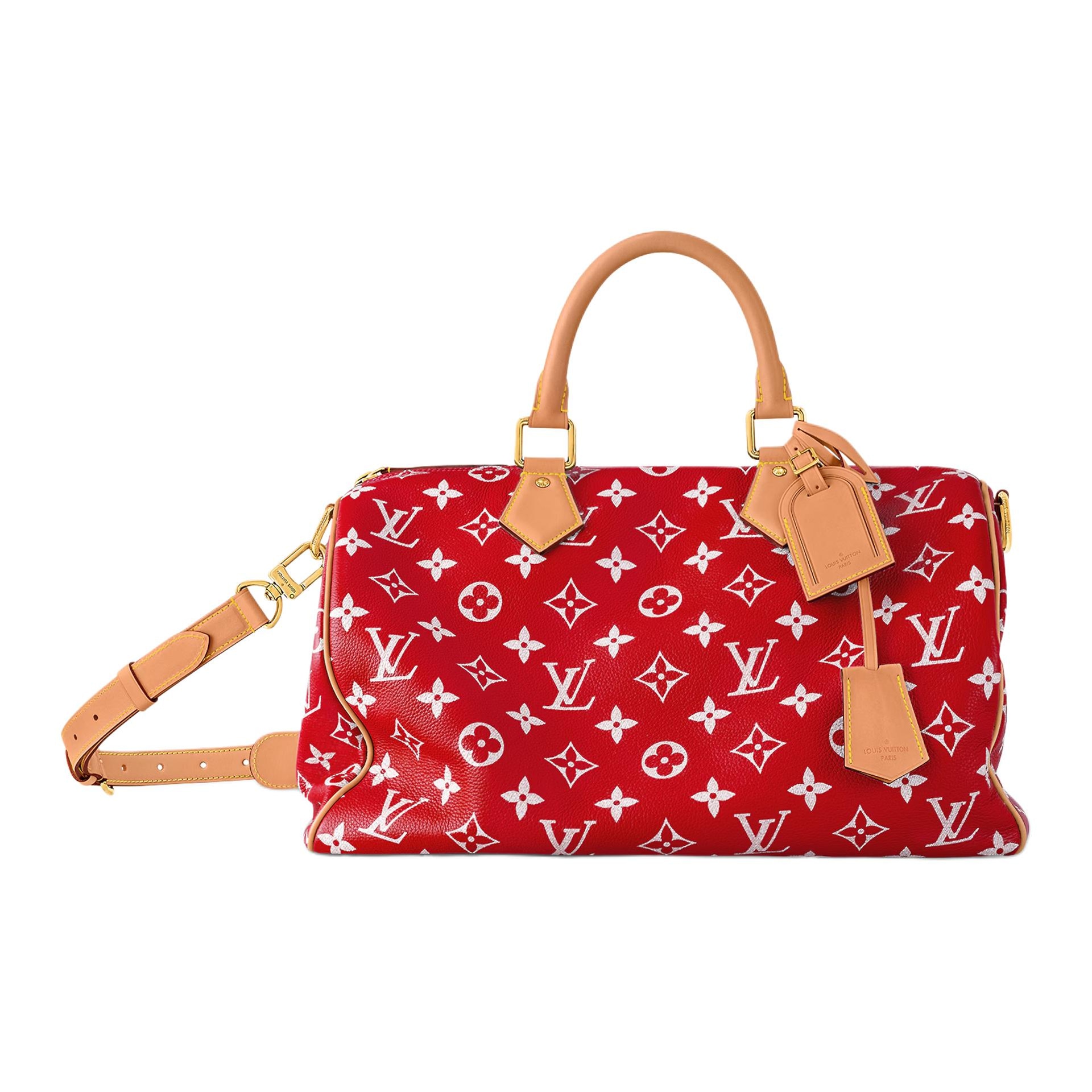 Louis Vuitton Speedy 40